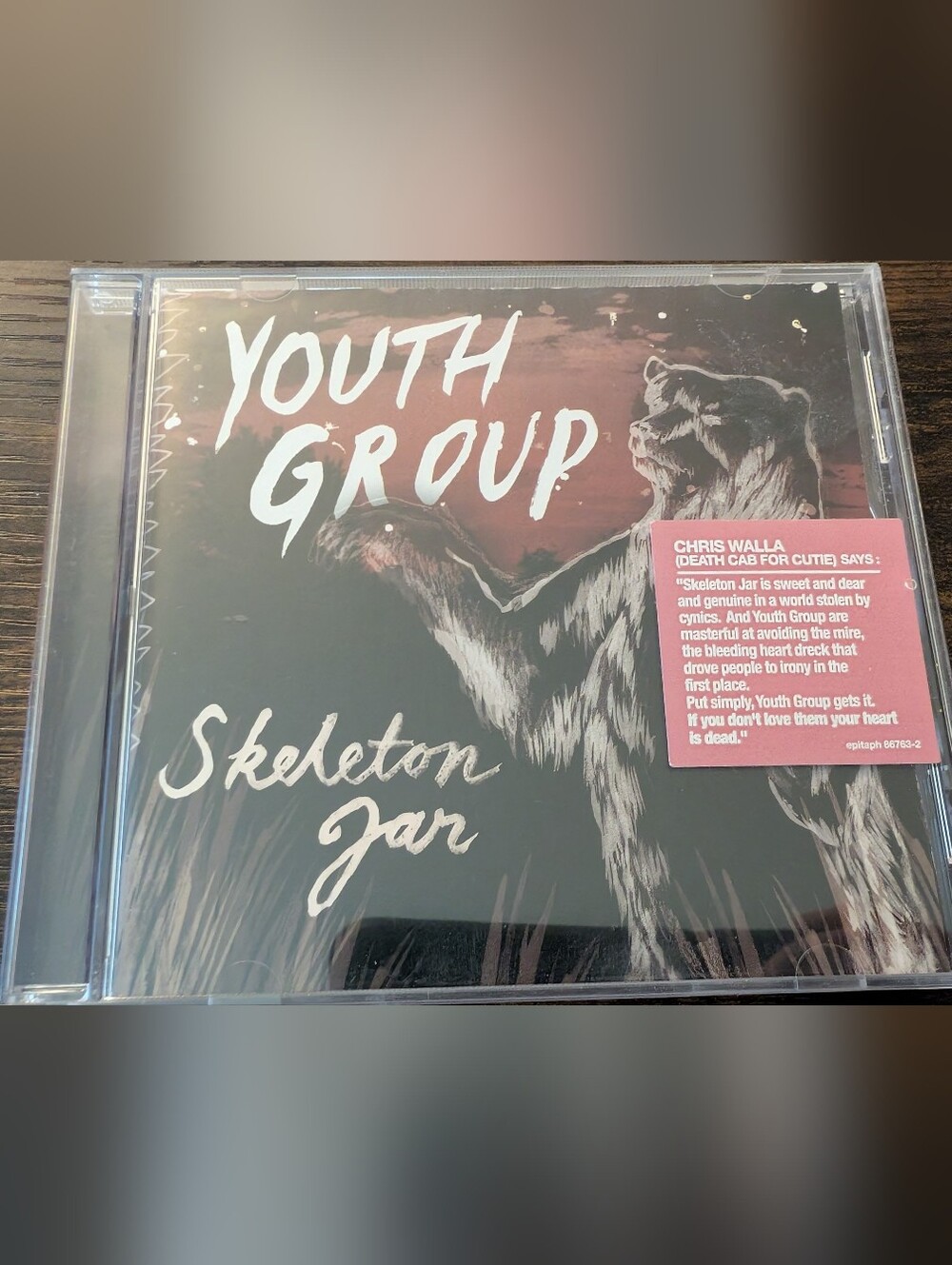 Youth Group - Skeleton Jar CD (Black & Burgundy Cover)